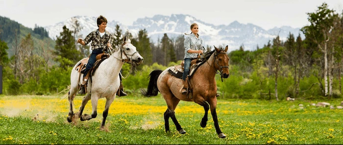Confident plus-size woman riding Corby a horse through a field with a smile on her face.